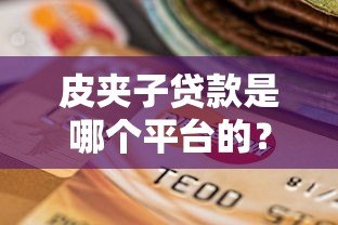 皮夹子贷款是哪个平台的?靠谱吗?一文详解申请流程与资质要求 皮夹子贷款是哪个平台的?靠谱吗?一文详解申请流程与资质要求