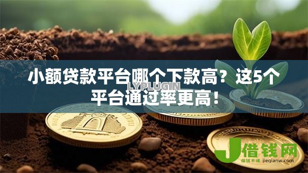 小额贷款平台哪个下款高?这5个平台通过率更高! 小额贷款平台哪个下款高?这5个平台通过率更高!