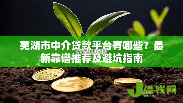 芜湖市中介贷款平台有哪些?最新靠谱推荐及避坑指南 芜湖市中介贷款平台有哪些?最新靠谱推荐及避坑指南
