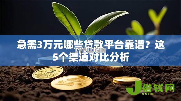 急需3万元哪些贷款平台靠谱?这5个渠道对比分析 急需3万元哪些贷款平台靠谱?这5个渠道对比分析