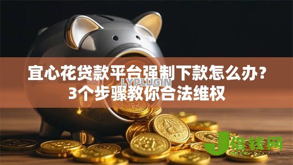 宜心花贷款平台强制下款怎么办？3个步骤教你合法维权