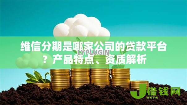 维信分期是哪家公司的贷款平台？产品特点、资质解析