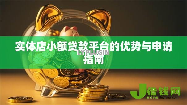 实体店小额贷款平台的优势与申请指南