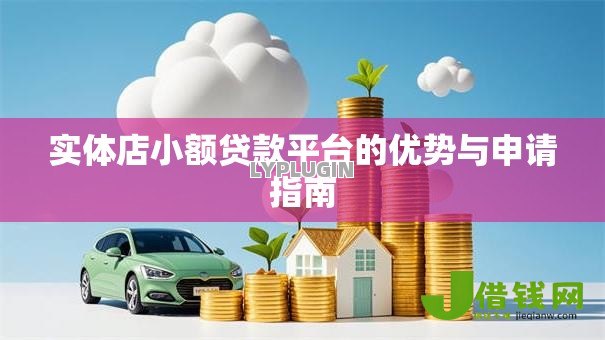 实体店小额贷款平台的优势与申请指南