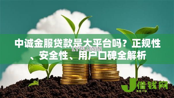 中诚金服贷款是大平台吗？正规性、安全性、用户口碑全解析