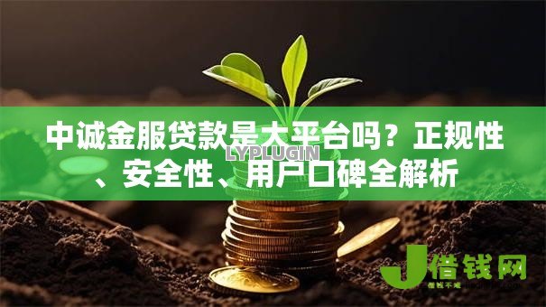 中诚金服贷款是大平台吗？正规性、安全性、用户口碑全解析