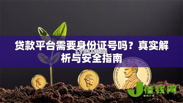 贷款平台需要身份证号吗?真实解析与安全指南 贷款平台需要身份证号吗?真实解析与安全指南