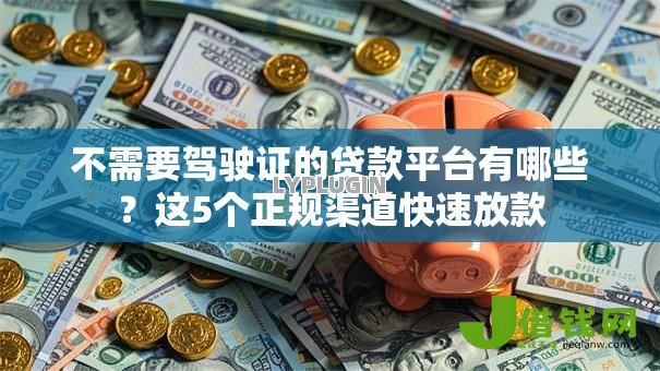 不需要驾驶证的贷款平台有哪些?这5个正规渠道快速放款 不需要驾驶证的贷款平台有哪些?这5个正规渠道快速放款