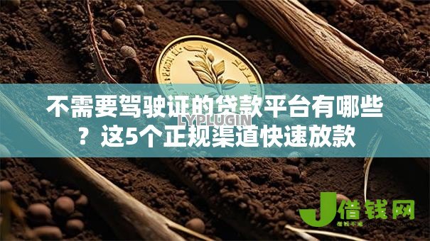 不需要驾驶证的贷款平台有哪些?这5个正规渠道快速放款 不需要驾驶证的贷款平台有哪些?这5个正规渠道快速放款