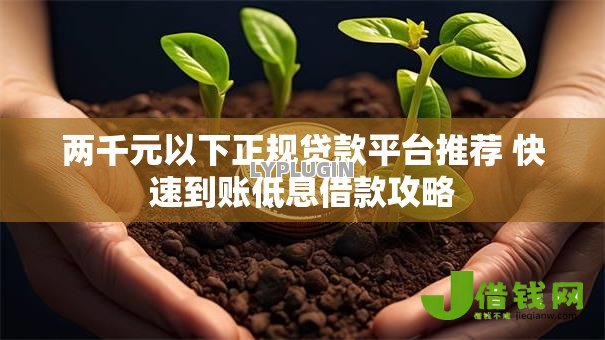 两千元以下正规贷款平台推荐 快速到账低息借款攻略 两千元以下正规贷款平台推荐 快速到账低息借款攻略