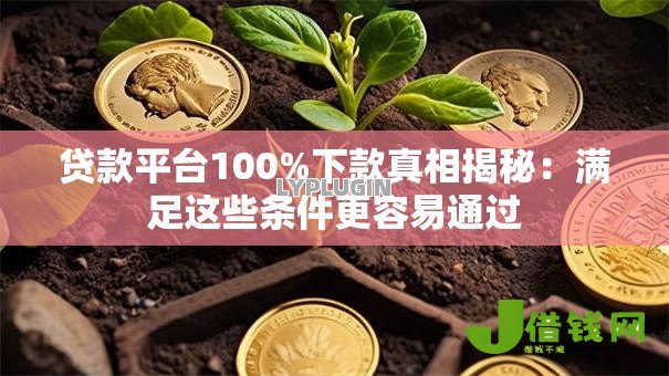 贷款平台100%下款真相揭秘：满足这些条件更容易通过