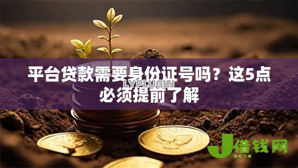 平台贷款需要身份证号吗？这5点必须提前了解
