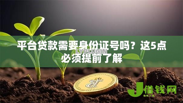 平台贷款需要身份证号吗？这5点必须提前了解