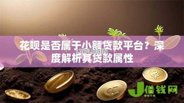花呗是否属于小额贷款平台？深度解析其贷款属性