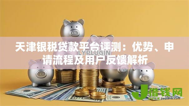 天津银税贷款平台评测：优势、申请流程及用户反馈解析