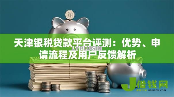 天津银税贷款平台评测：优势、申请流程及用户反馈解析