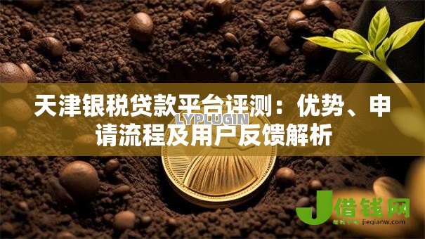 天津银税贷款平台评测：优势、申请流程及用户反馈解析