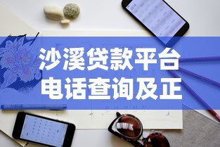 沙溪贷款平台电话查询及正规联系方式指南 沙溪贷款平台电话查询及正规联系方式指南