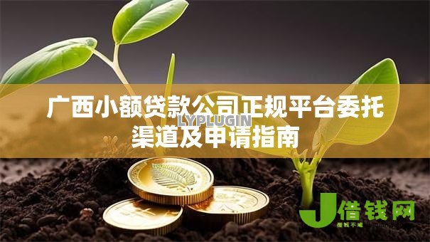 广西小额贷款公司正规平台委托渠道及申请指南