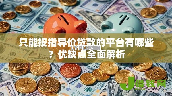 只能按指导价贷款的平台有哪些？优缺点全面解析