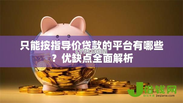 只能按指导价贷款的平台有哪些？优缺点全面解析