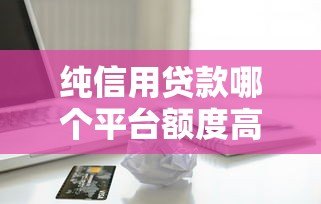 纯信用贷款哪个平台额度高?这5家轻松申请最高20万 纯信用贷款哪个平台额度高?这5家轻松申请最高20万