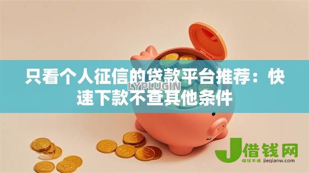 只看个人征信的贷款平台推荐：快速下款不查其他条件