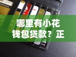 哪里有小花钱包贷款?正规平台推荐及申请指南 哪里有小花钱包贷款?正规平台推荐及申请指南