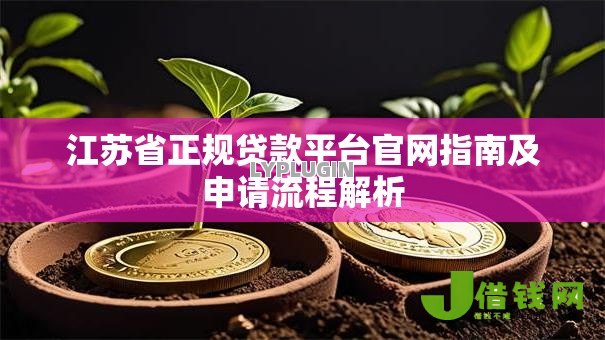 江苏省正规贷款平台官网指南及申请流程解析 江苏省正规贷款平台官网指南及申请流程解析