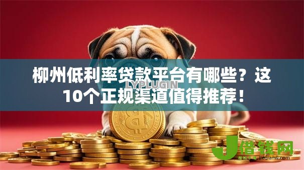 柳州低利率贷款平台有哪些？这10个正规渠道值得推荐！