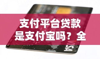 支付平台贷款是支付宝吗？全面解析区别与选择指南