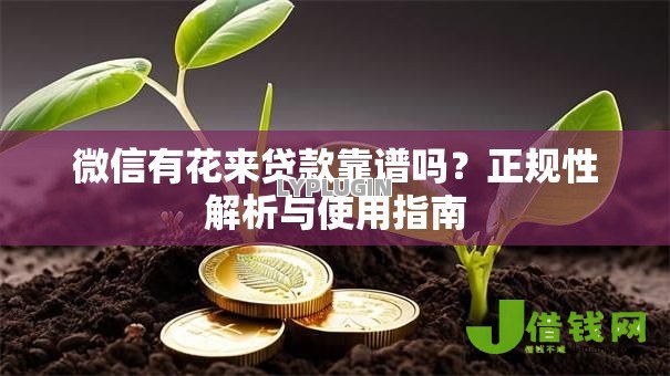微信有花来贷款靠谱吗？正规性解析与使用指南