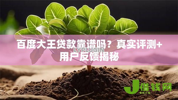 百度大王贷款靠谱吗？真实评测+用户反馈揭秘