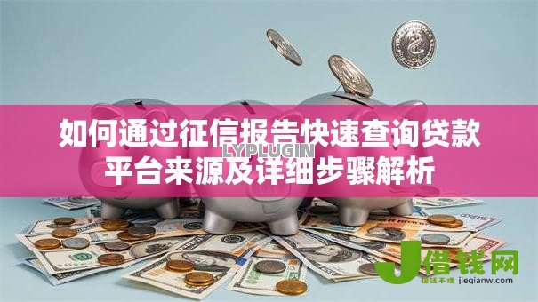 如何通过征信报告快速查询贷款平台来源及详细步骤解析