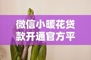 微信小暖花贷款开通官方平台指南