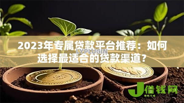 2023年专属贷款平台推荐:如何选择最适合的贷款渠道? 2023年专属贷款平台推荐:如何选择最适合的贷款渠道?