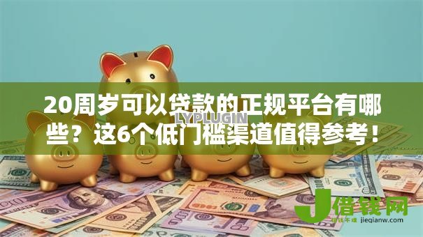 20周岁可以贷款的正规平台有哪些？这6个低门槛渠道值得参考！