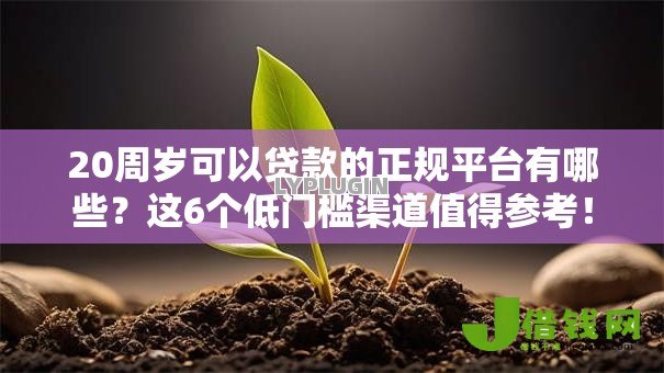 20周岁可以贷款的正规平台有哪些？这6个低门槛渠道值得参考！