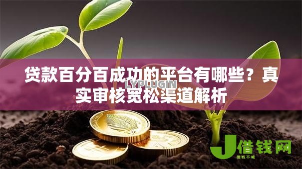 贷款百分百成功的平台有哪些？真实审核宽松渠道解析