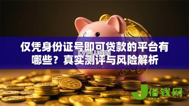 仅凭身份证号即可贷款的平台有哪些?真实测评与风险解析 仅凭身份证号即可贷款的平台有哪些?真实测评与风险解析