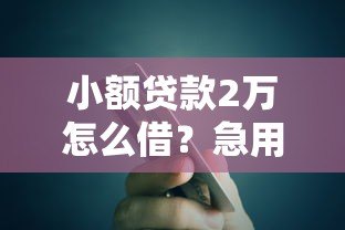 小额贷款2万怎么借？急用钱平台选择指南