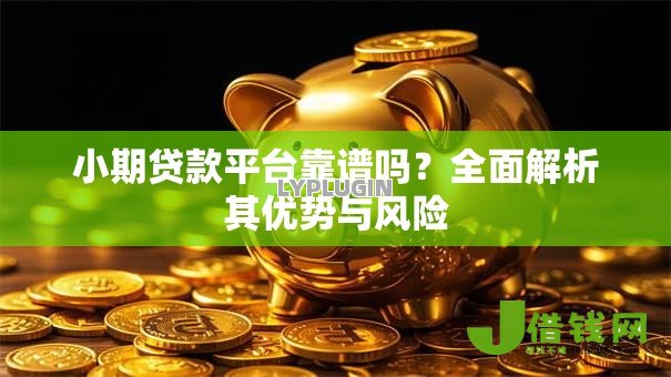 小期贷款平台靠谱吗?全面解析其优势与风险 小期贷款平台靠谱吗?全面解析其优势与风险