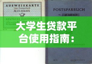 大学生贷款平台使用指南:风险与机遇并存的选择 大学生贷款平台使用指南:风险与机遇并存的选择