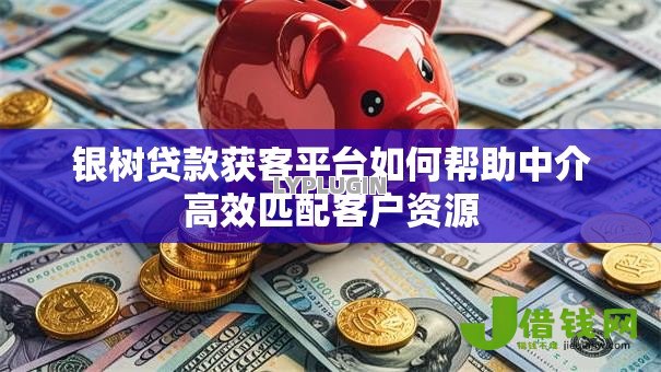 银树贷款获客平台如何帮助中介高效匹配客户资源
