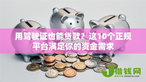 用驾驶证也能贷款？这10个正规平台满足你的资金需求
