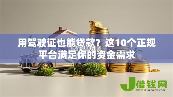 用驾驶证也能贷款？这10个正规平台满足你的资金需求