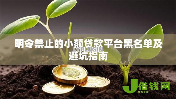 明令禁止的小额贷款平台黑名单及避坑指南 明令禁止的小额贷款平台黑名单及避坑指南