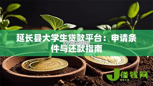 延长县大学生贷款平台:申请条件与还款指南 延长县大学生贷款平台:申请条件与还款指南