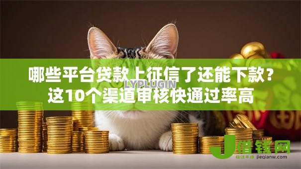 哪些平台贷款上征信了还能下款?这10个渠道审核快通过率高 哪些平台贷款上征信了还能下款?这10个渠道审核快通过率高