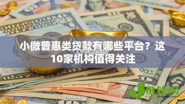 小微普惠类贷款有哪些平台?这10家机构值得关注 小微普惠类贷款有哪些平台?这10家机构值得关注